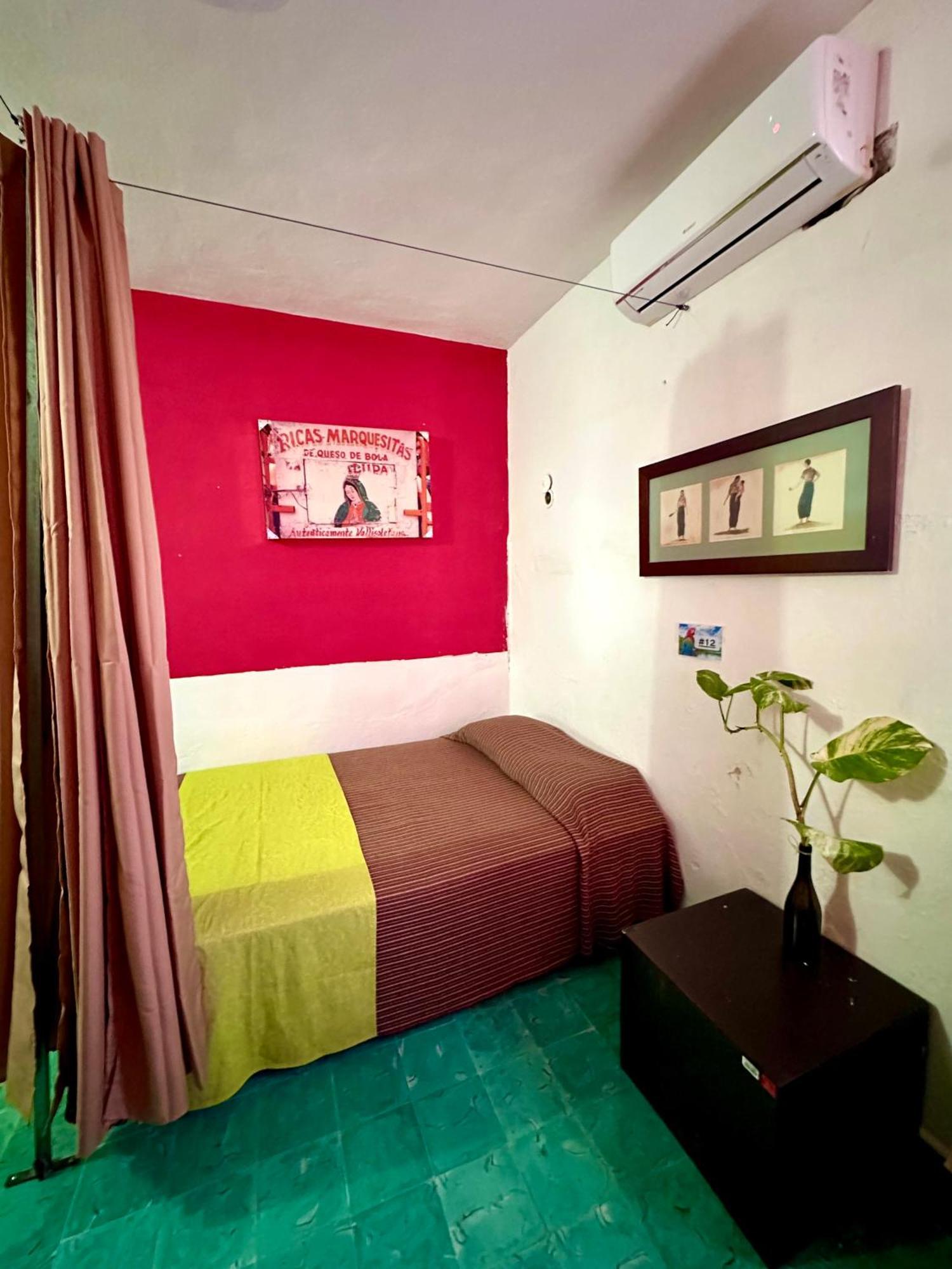 Guacamayas Hostel And Social Laundry Valladolid  Esterno foto