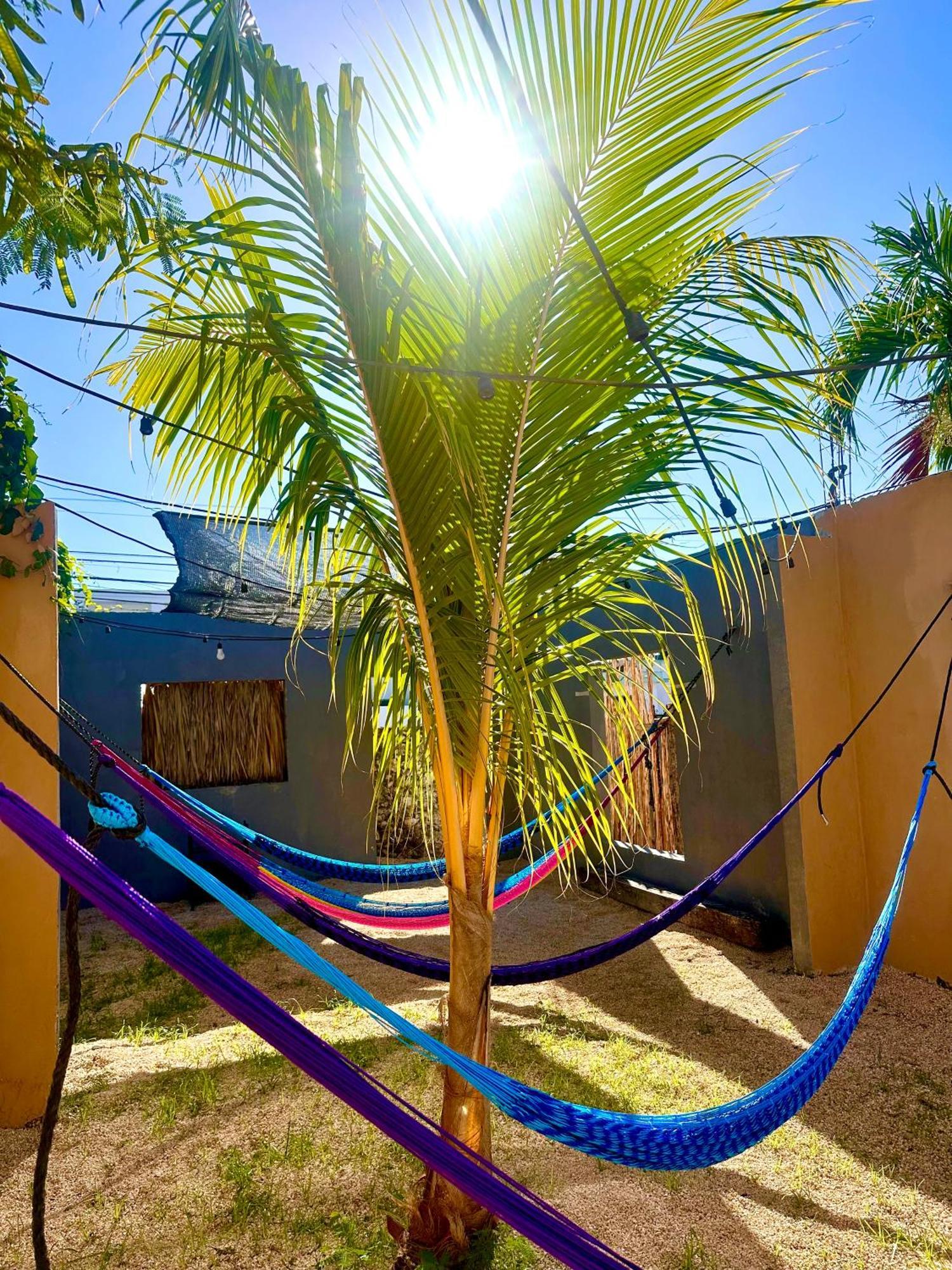 Guacamayas Hostel And Social Laundry Valladolid  Esterno foto